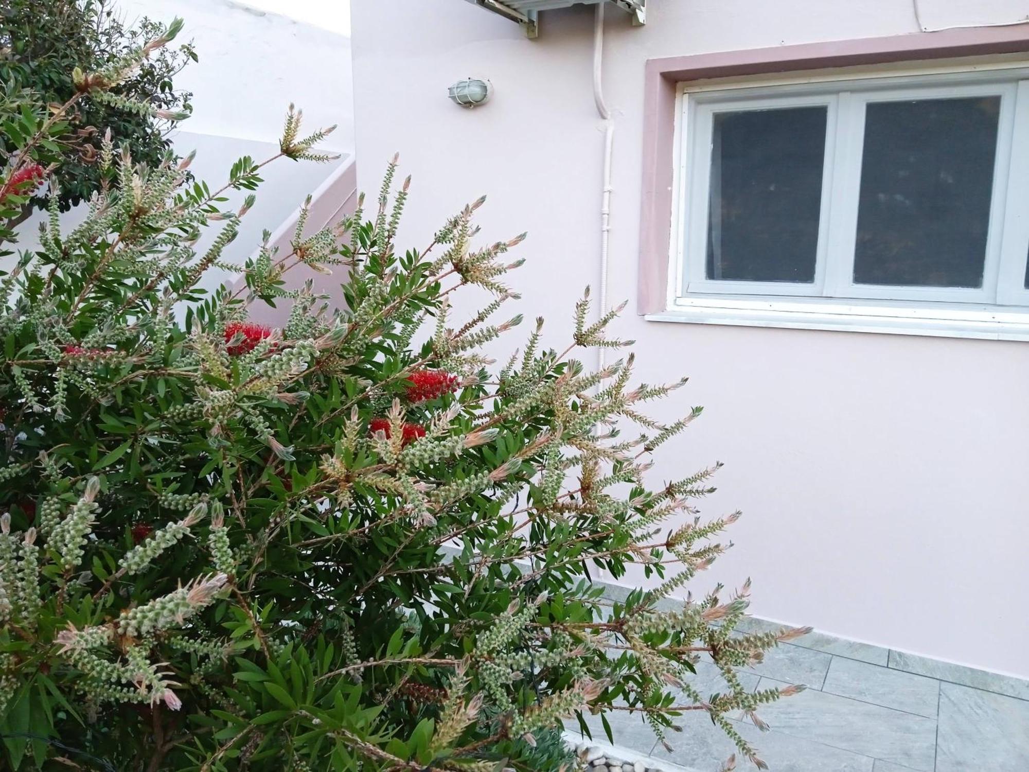 Andros Lighthouse Apartments Mesaria  Exterior photo